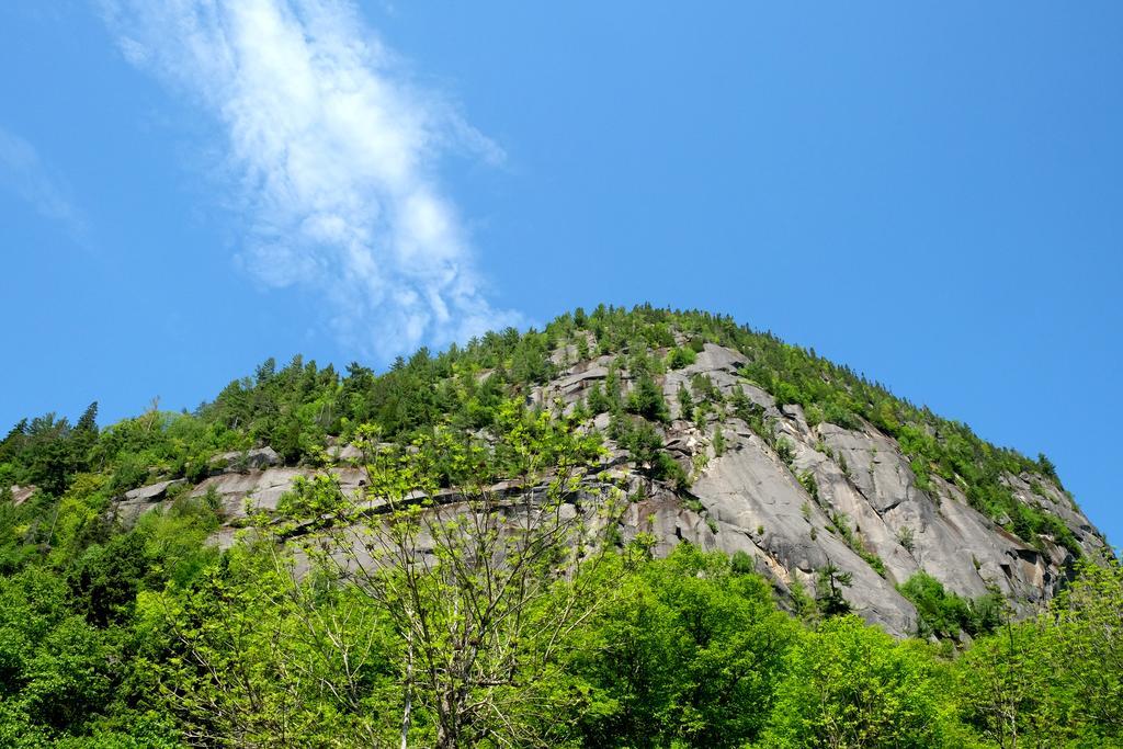 Auberge Du Presbytere De Riviere-Eternite Riviere Eternite Екстериор снимка